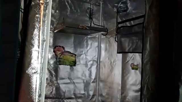 MARS HYDRO TSW 2000 LED GROW LIGHT UNBOXING & SET-UP