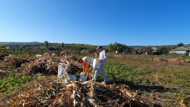 Ты,седина,жаль,что видна. "Быстро,очень быстро дни бегут". смотреть онлайн