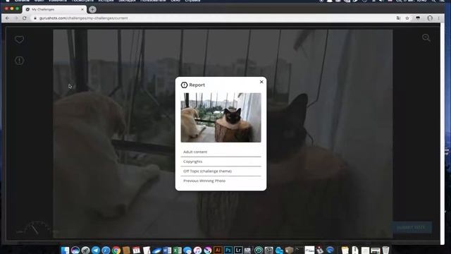 Что такое GuruShots. Площадка для фотографов ГуруШот обзор! смотреть онлайн