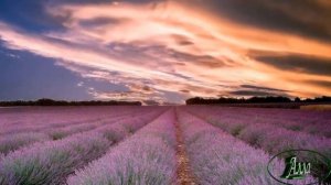 ДО  СЛЁЗ,   ЗА ДУШУ   БЕРЁТ !  ГРУСТНАЯ  ПЕСНЯ !  НА   ЧТО   ПОХОЖИ   ОБЛАКА !   ВИКТОР СТОЛБОВ !