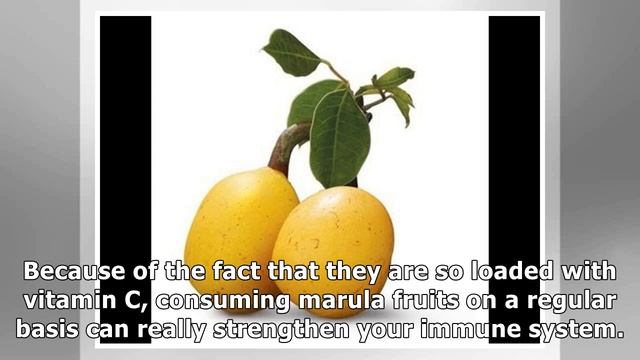 Reasons to Eat Marula Fruits смотреть онлайн