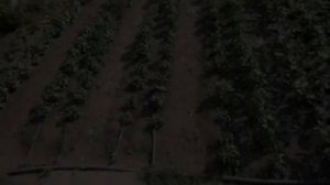 Фурнитура Для Капельного Полива