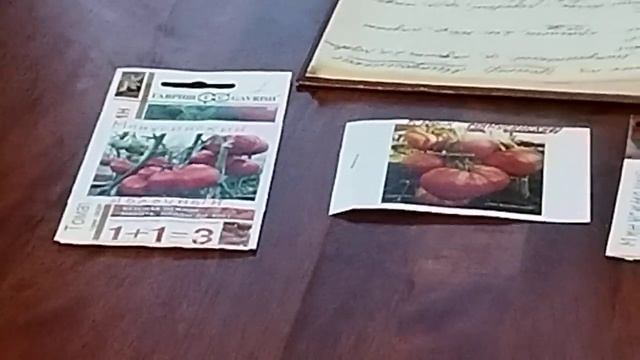 ОЖИДАНИЯ и РЕАЛЬНОСТЬ. МИНУСИНСКИЕ ТОМАТЫ смотреть онлайн