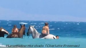 HorseRiding Hurghada. Семейная прогулка  к морю с купанием на лошадях