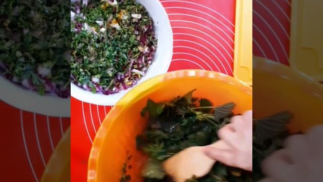 Равиоли с кропивой?? смотреть онлайн