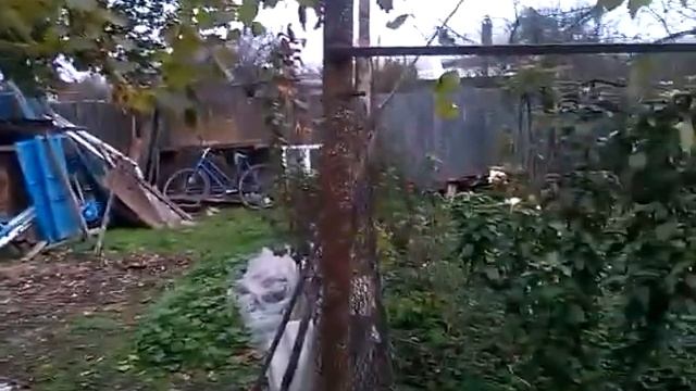 Копия видео "VID 20161104 132831" смотреть онлайн