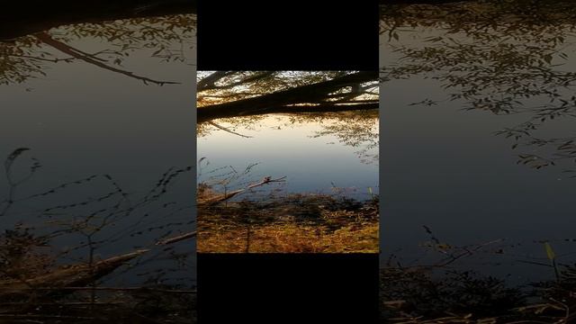 Рассвет по пути в отпуск