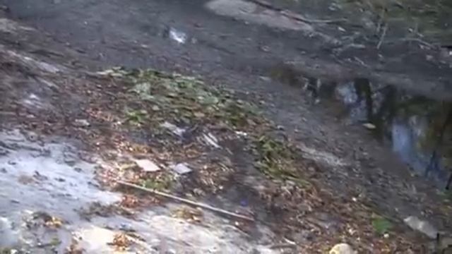 Вода в протоках ДОМАХИ высыхает рыба гибнет. Можно спасти. 24.10.23 г.