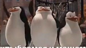 улыбаемся и машем, пингвины (мадагаскар 1)