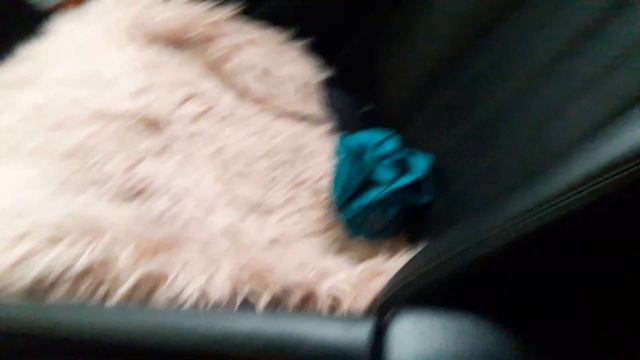 Салон Mazda 6 2018 год смотреть онлайн