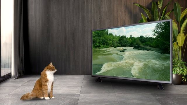 Four Hours Relax Music Cat |Soothing music for cats, relax, deep sleep смотреть онлайн