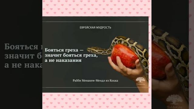 Сборник еврейской мудрости в картинках - 12 смотреть онлайн