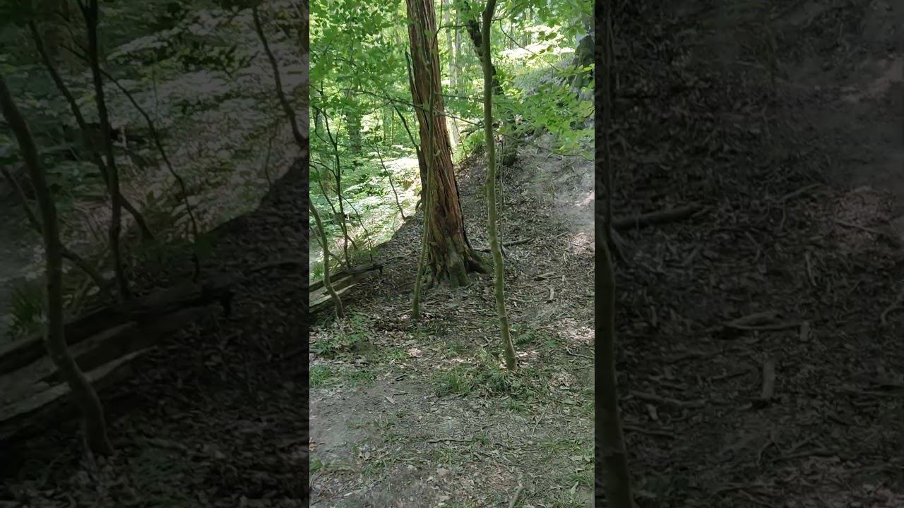 Охота на сенсея началась смотреть онлайн