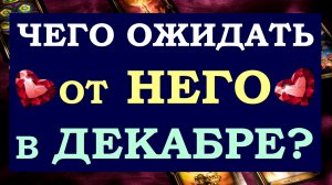 ? ВСЁ О НЁМ В ДЕКАБРЕ ?? ЕГО РЕАЛЬНЫЕ ДЕЙСТВИЯ. ?