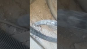 Ведро для сбора строительного мусора обычным пылесосом