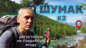 Огромный водопад Броды Ем несъедобные ягоды Встреча с Шумаком Источники Ностальгия  Избы Часть 2/5