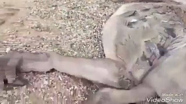 Близок судного дня(2) смотреть онлайн