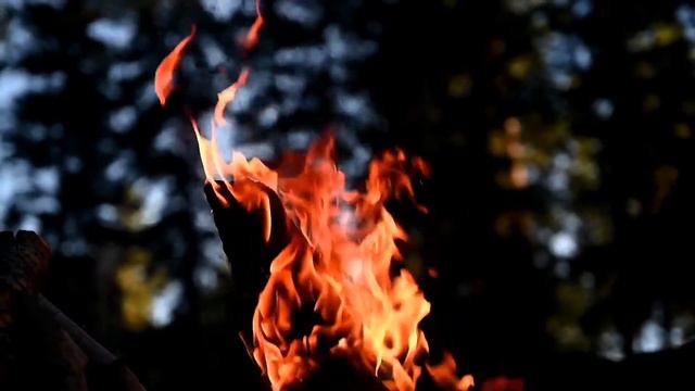 КРАСИВЫЕ ЗАМЕДЛЕННЫЕ ВИДЕО ДЛЯ ДУШИ И СПОКОЙСТВИЯ.