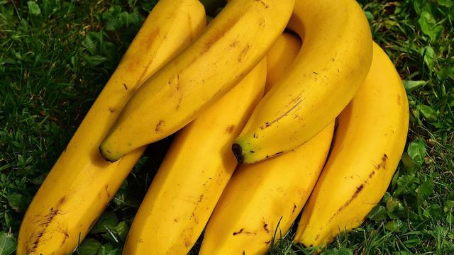 Почему полезно есть бананы каждый день: положительное влияние плода на здоровье