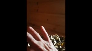 Правильная планировка бани - какая Размеры парной в бане.mp4