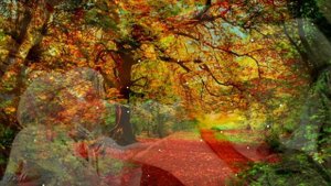 С Днём Пожилых Людей. Поздравление С Днём Пожилого Человека.