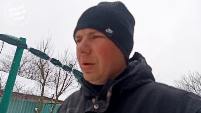 ///Поросенок с голубыми Глазами! ( как у Хаски)/// смотреть онлайн