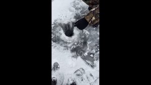 Рыбалка на озере Косоголь ужурский район 13.11.2021. #рыбалка