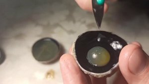 Препарирование глаза крупного рогатого скота