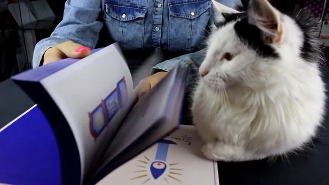 Что почитать летом? "ЗАЧИТАТЕЛЬНО"