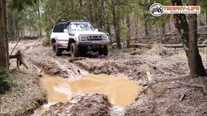 Нахабинские Выселки - ДВЕ ТОЙОТЫ 80 и 200 - внедорожники на бездорожье 4х4 покатушка Трофи-лайф 202