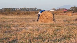 Лайфхак.  Как перепрыгнуть тюк сена..mp4