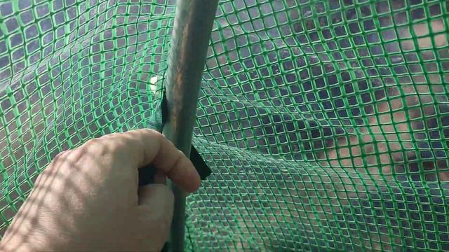 Sera tip tunel 6x3x2 m montaj si sfaturi смотреть онлайн