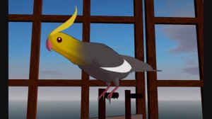  Cockatiel Swearing