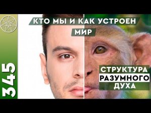#345  Внеземной разум о сознании землян. Как работает мышление человека? Структура Духа.