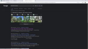 Как выглядит прохождение ссылок на VieFaucet? Как проходить короткие ссылки на VieFaucet?