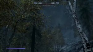 Skyrim.exe has stopped working..... Again