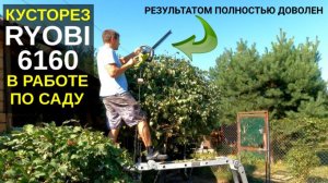 Электрический кусторез (садовые ножницы) RYOBI 6160 в работе по саду