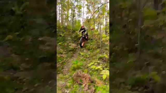 #квадроцикл #atv150 #квадроциклы #квадрик #квадрики #фетбайк #питбайк смотреть онлайн