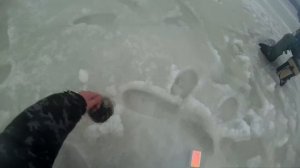 Рыбалка с ночевкой на Бродской лахте и в Барсанихе. Зимняя рыбалка.