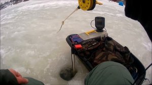 Лещ на мормышку Глухозимье, поиск леща с эхолотом .