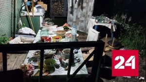 Место взрыва гранаты в Подмосковье сняли на видео - Россия 24