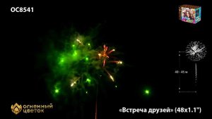 ос8541