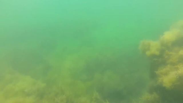 Зеленухи в камнях смотреть онлайн