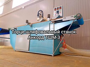Торце-шлифовальный станок ТШМ-3