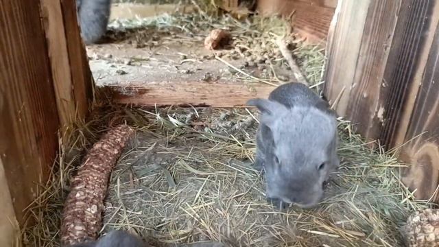 счастье привалило/пополнение смотреть онлайн