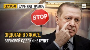Эрдоган в ужасе, зерновой сделки не будет