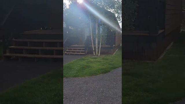 тур в #Йеллоустоун (день 1) смотреть онлайн