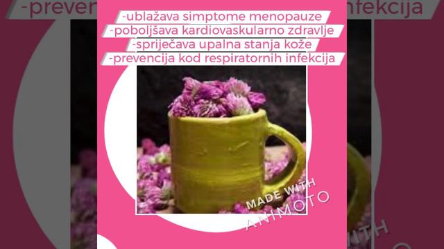 TINKTURA CRVENA DJETELINA смотреть онлайн