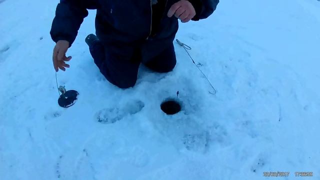 сорочий лог 2.12.2017 смотреть онлайн