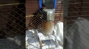 Бумага измельчитель своими руками